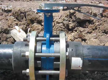 ���̰���